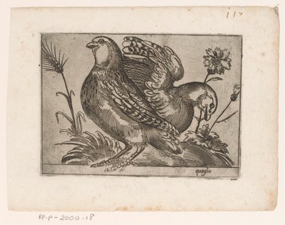 Duas codornas Quaglie (título no objeto) Aves (título da série) de Monogrammist AG