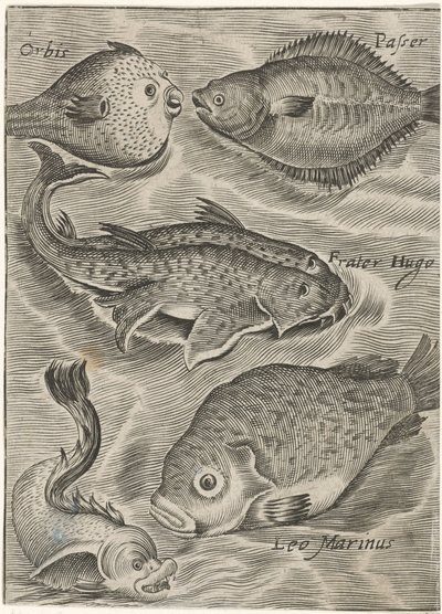 Studieblad conheceu de forma diferente Ícones de peixes ao vivo (título da série) de Monogrammist P+P
