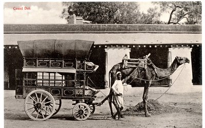 Camel Dak, c.1911-12 (foto sépia) de Moorli Dhur and Sons