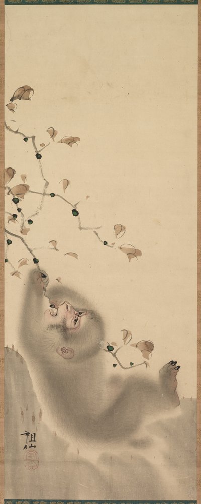 Macaco pendurado em um galho de Mori Sosen