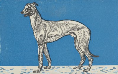 Galgo, 1912. de Moritz Jung
