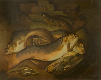 Peixes de Moses Haughton