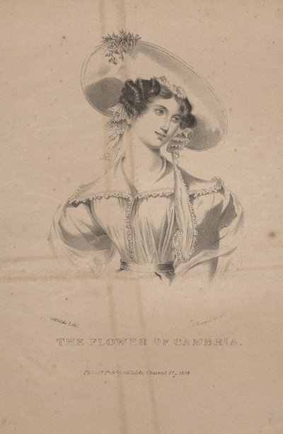 A flor de Cambria, litho por CG Childs, 1830 de Moses Swett