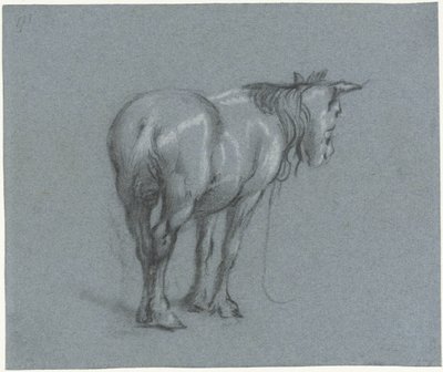 Estudo de um cavalo por trás, à direita Cavalos de batalha em pé (título da série) de Moses Ter Borch