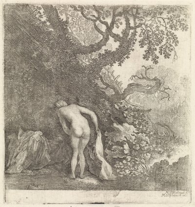 Mulher tomando banho, vista por trás de Moyses van Wtenbrouck