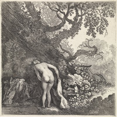 Mulher tomando banho, vista por trás de Moyses van Wtenbrouck
