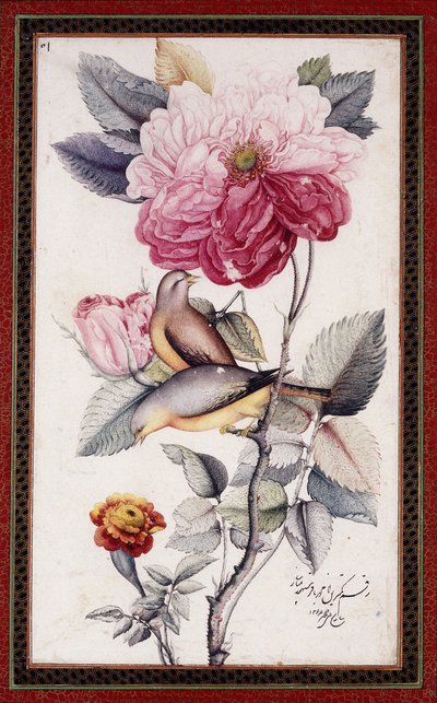Gul-o Bulbul, c. 1849-50 (aguarela sobre papel) de Muhammad Baqir
