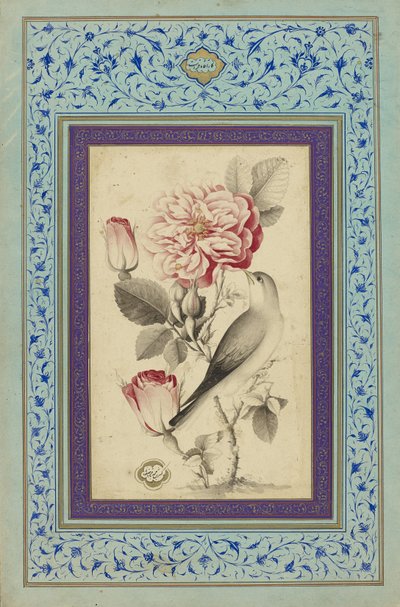 Rosas e Nightingale, finais do século XVIII (tinta e cor sobre papel) de Muhammad Baqir