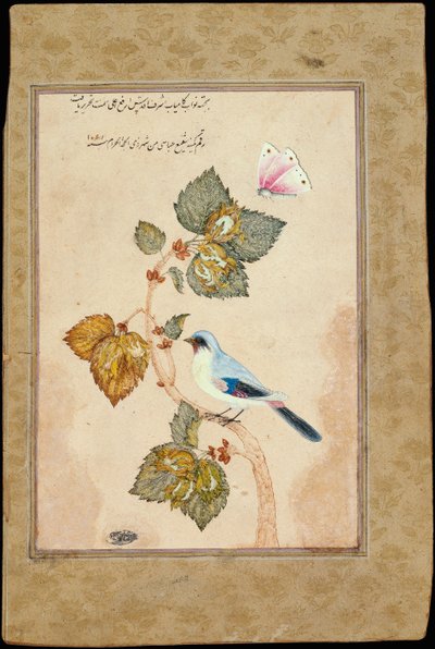 Um pássaro em um galho de avelã de Muhammad Shafi Abbasi