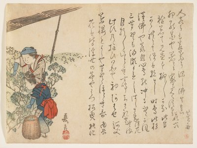 Máquinas de colheita de chá, c.1830-44 (impressão em xilogravura a cores) de Murata Kagen