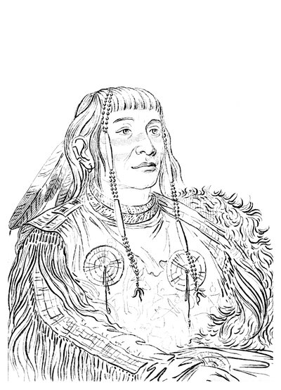 Retrato de um homem nativo americano, 1841. de Myers and Co