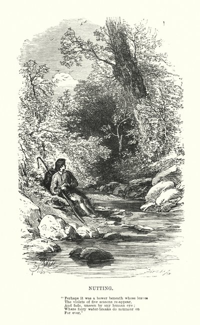 William Wordsworth: Corte (gravura) de Myles Birket (after) Foster