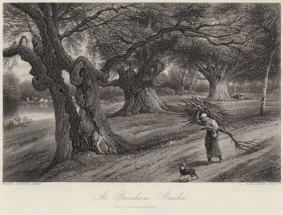 Na Burnham Beeches de Myles Birket Foster