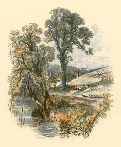 Belezas da natureza de Myles Birket Foster