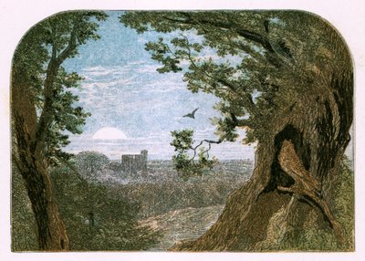 Ilustração para &39;Aves&39; de Myles Birket Foster