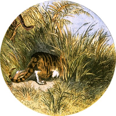 Ilustração para &39;The Deserted Village&39; de Myles Birket Foster