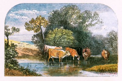 Ilustração para &39;The Deserted Village&39; de Myles Birket Foster