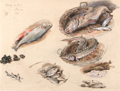 Estudo do Peixe, Veneza de Myles Birket Foster
