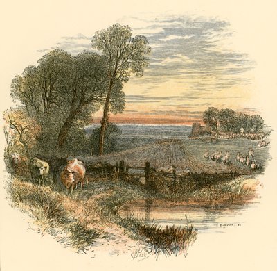 domingo de Myles Birket Foster