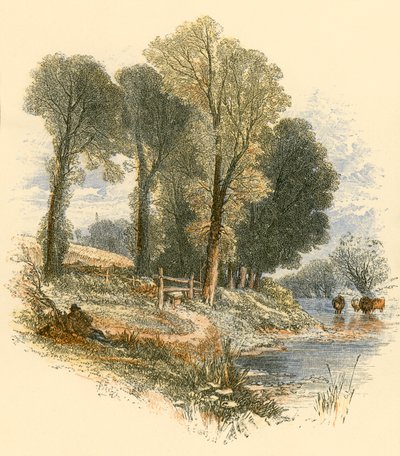 Passeios de domingo de Myles Birket Foster