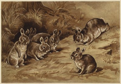 Coelhinhos de bebé (litho) de N. Parker