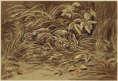 lebres pequenas (litho) de N. Parker