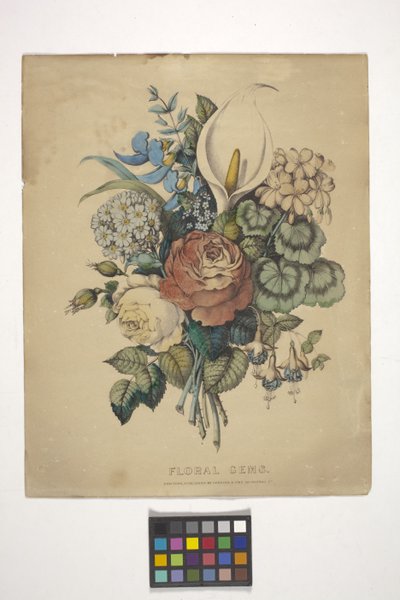 Gemas florais (litografia colorida à mão) de N. and Ives J.M. (1824 95) Currier