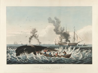 The Whale Fishery:Attacking a Sperm Whale Whale....and 