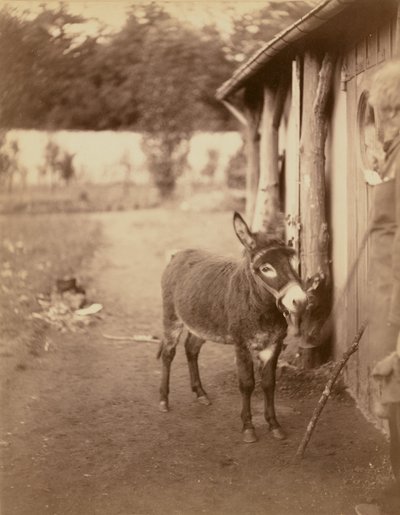Sénart, o burro Biribi de Nadar [Gaspard Félix Tournachon]