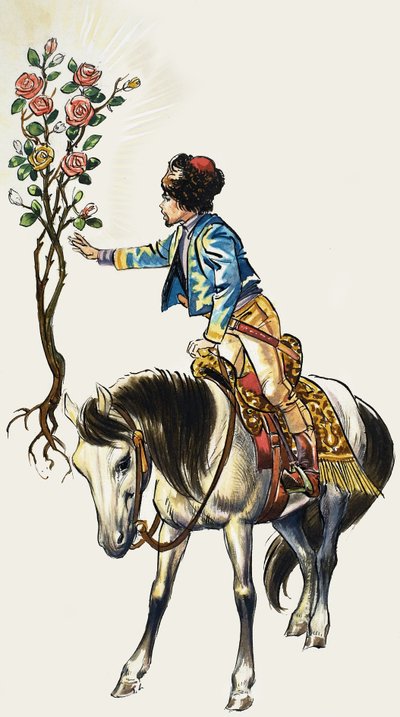 Contos de muitas terras: A Roseira de Ouro de Nadir Quinto