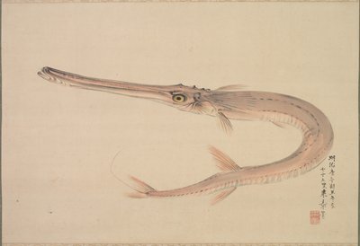 Agulha (sempre) de Nakajima Raishō