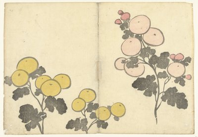 Flores amarelas e rosa estilizadas
Imprimir álbum de Korin (título da série)
Korin gafu (título da série) de Nakamura Hochu