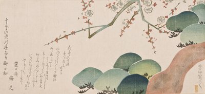 Pine Tree e Plum Blossom, 1810-30 (impressão woodblock cor) de Nakamura Hochu