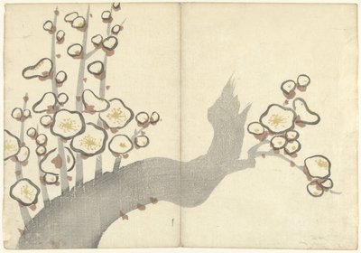 Flor de ameixa
Korin gaveu (título da série)
Korin gafu (título da série) de Nakamura Hochu