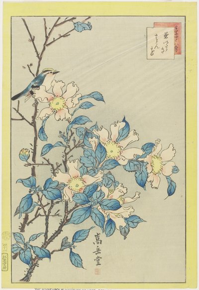 Pássaro azul e flores cor-de-rosa, 1859 (impressão do woodblock da cor) de Nakayama Sugakudo