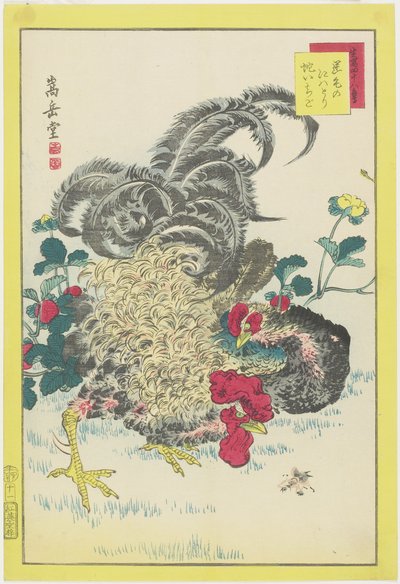 Galo e framboesas, junho de 1859 (impressão em xilogravura a cores) de Nakayama Sugakudo