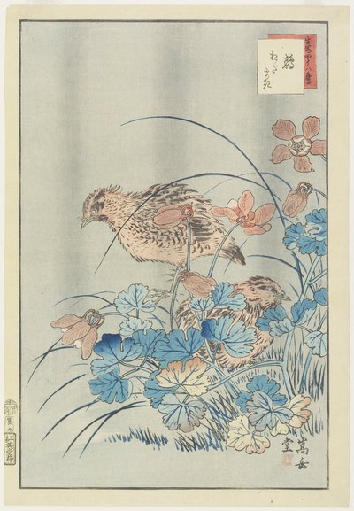 Duas codornas em Bush, 1859 (impressão em xilogravura a cores) de Nakayama Sugakudo