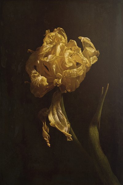  de Naoya Nakagawa