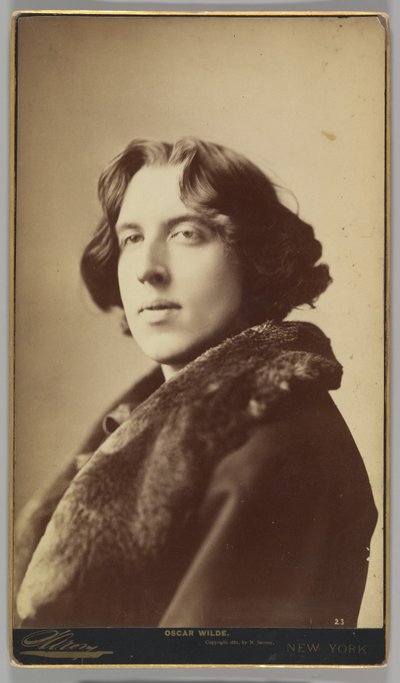 Oscar Wilde, 1882 (albumen silver print) de Napoleon Sarony