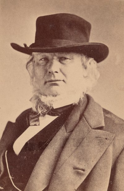 Retrato de Horace Greeley 1811-1872, 1869. de Napoleon Sarony