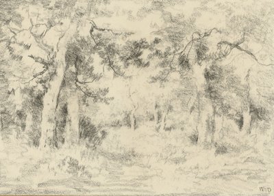 Vista da floresta no verão de Narcisse Virgile Diaz de la Peña