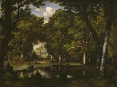 Lagoa na Floresta, 1862. de Narcisse Virgile Diaz de la Peña