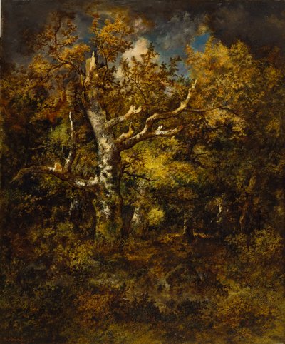Floresta de Fontainebleau, outono de Narcisse Virgile Diaz de la Peña