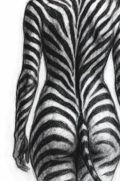 Formulário com riscas de zebra de Natalie Bruns