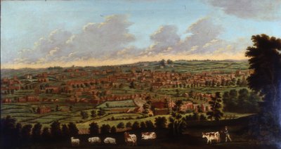 Halifax, Yorkshire, c.1798-1800 (óleo sobre tela) de Nathan Theodore Fielding
