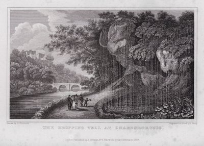 O Poço de Gota em Knaresborough (gravura) de Nathaniel (after) Whittock