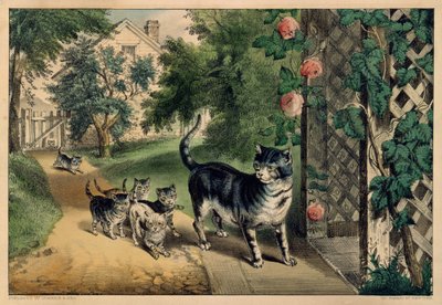 O Retorno de Pussy, 1874-78., 1874-78. Criadores: Nathaniel Currier, James Merritt Ives, Currier e Ives. de Currier and Ives