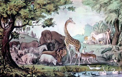Adam Nomeando as Criaturas, 1847. de Nathaniel Currier