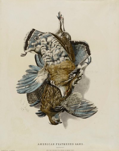 Caça de penas americana--Partridges de Nathaniel Currier