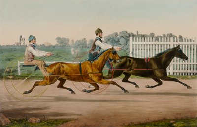 Flora Temple e Highland Maid de Nathaniel Currier